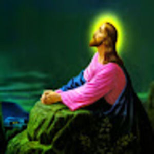 Meet your Posher, Edna